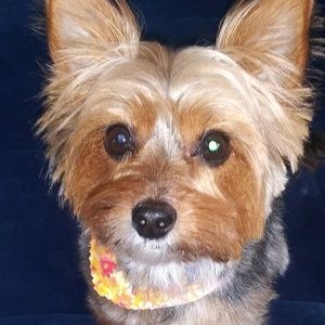 Meet your Posher, Rebecca